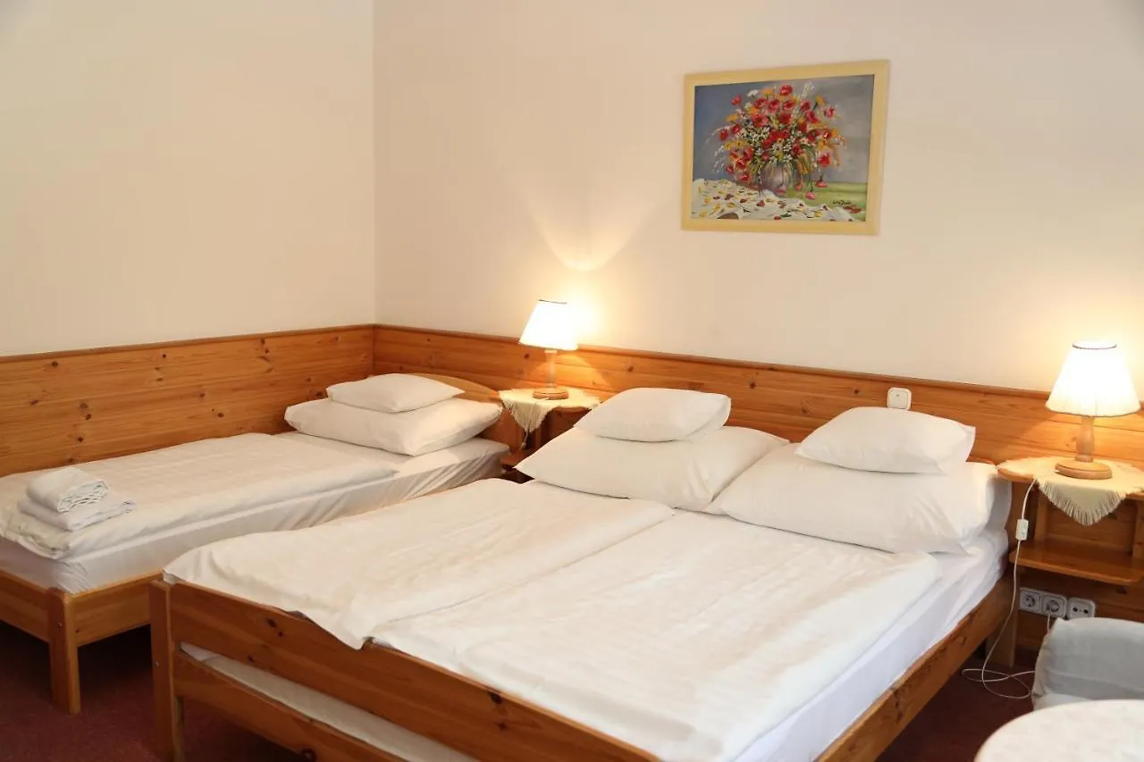 ***  Hajdu Kastely Hotel Hajdúszoboszló Hongarije