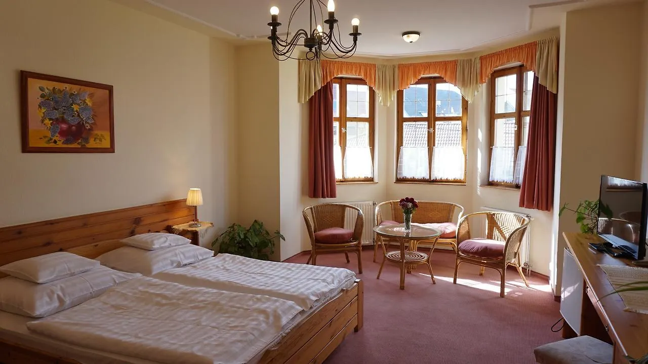 Hajdu Kastely Hotel Hajdúszoboszló Hongarije